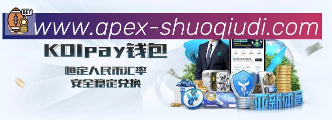 未来规划